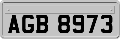 AGB8973