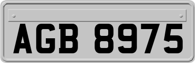 AGB8975