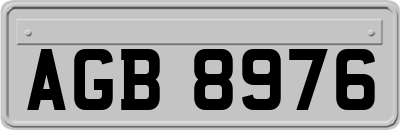 AGB8976