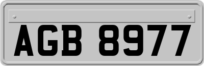 AGB8977