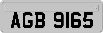 AGB9165