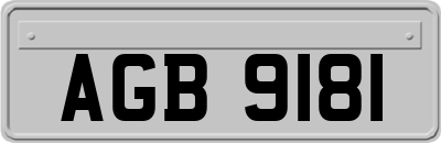 AGB9181