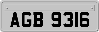 AGB9316