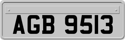 AGB9513