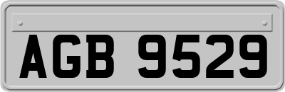 AGB9529
