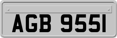 AGB9551