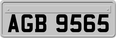 AGB9565