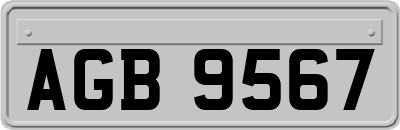 AGB9567