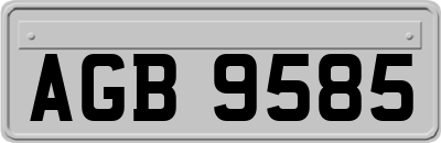 AGB9585