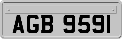 AGB9591