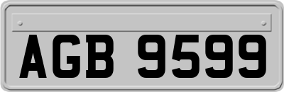AGB9599