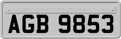 AGB9853
