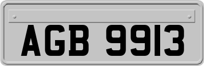 AGB9913