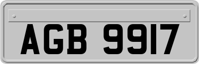 AGB9917