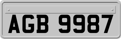 AGB9987