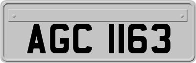 AGC1163