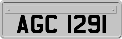 AGC1291