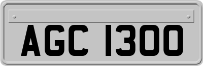 AGC1300