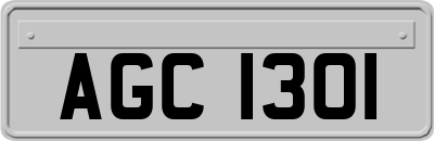 AGC1301