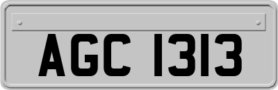 AGC1313