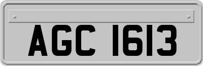 AGC1613