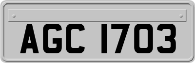 AGC1703