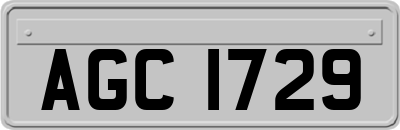 AGC1729