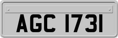 AGC1731