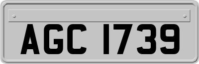AGC1739