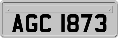 AGC1873
