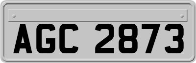 AGC2873