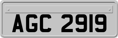 AGC2919