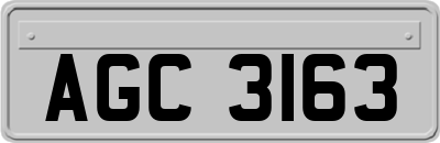 AGC3163
