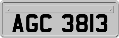 AGC3813