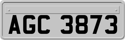 AGC3873