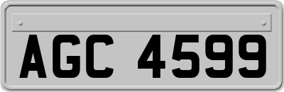AGC4599