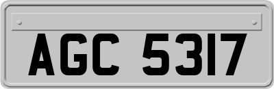AGC5317
