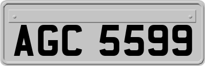 AGC5599