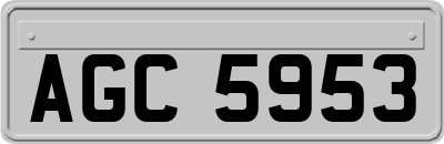 AGC5953