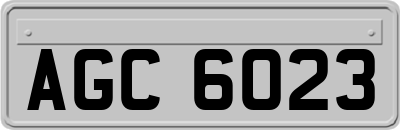 AGC6023