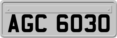 AGC6030