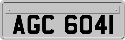 AGC6041