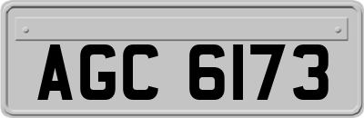 AGC6173