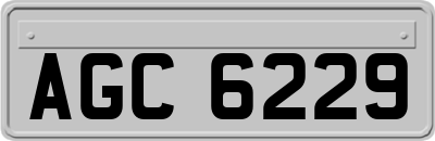 AGC6229