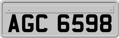 AGC6598