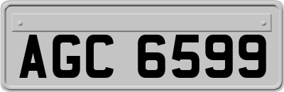 AGC6599