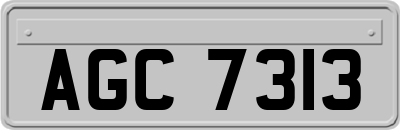AGC7313