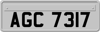 AGC7317