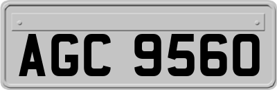 AGC9560