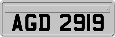 AGD2919